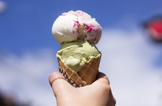 profesjonalna linia do produkcji lodów rzemieślniczych